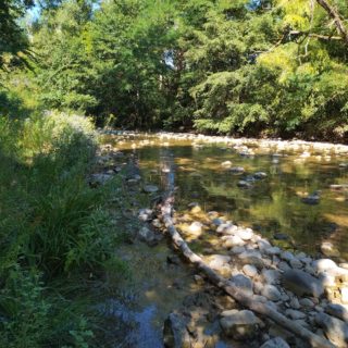 IMG_20220803_104054066