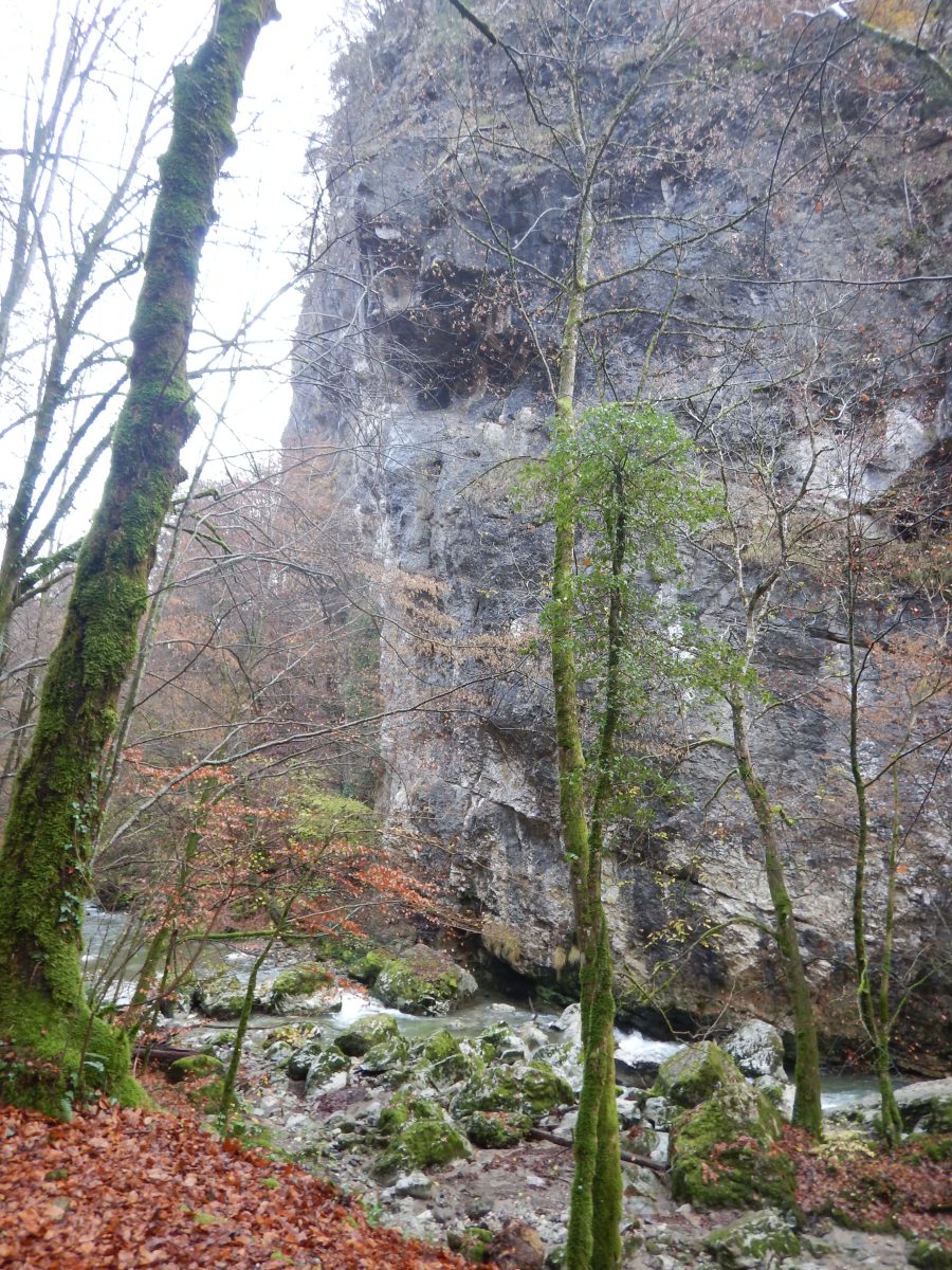 gorges de la caille