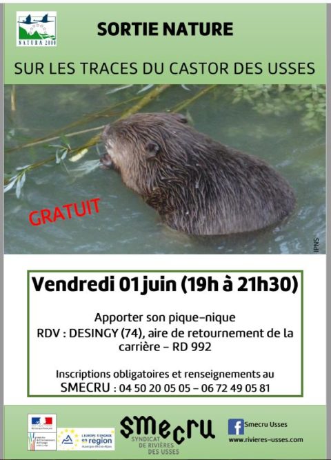 AFFICHE-smecru-castor