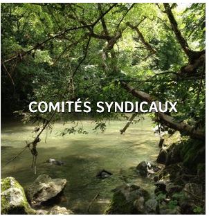 Logo Comité Syndical