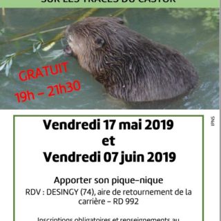 affiche-Smecru