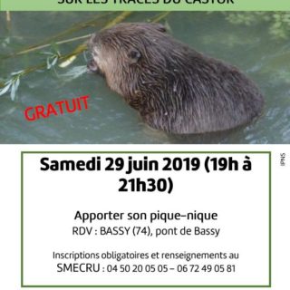 AFFICHE-smecru-castor