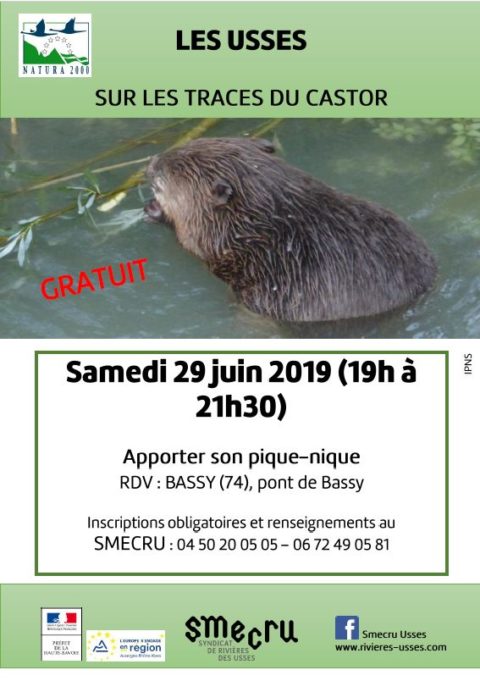 AFFICHE-smecru-castor