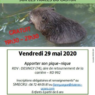 AFFICHE-smecru-castor29-05