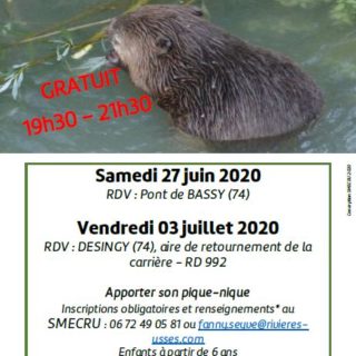 Affiche-Smecru2020