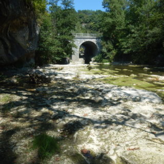 US05 (12)