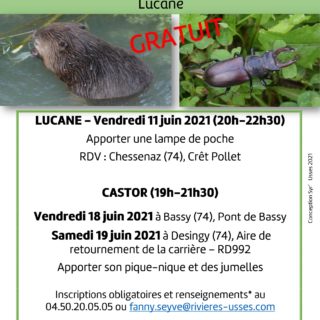 Affiche-Syr’Usses-Lucane-Castor_page-0001