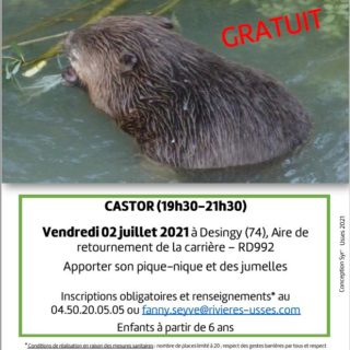 Affiche-Syr’Usses-Castor.Jpeg