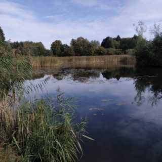 Etang de Mouille Marin_menthonnex en bornes