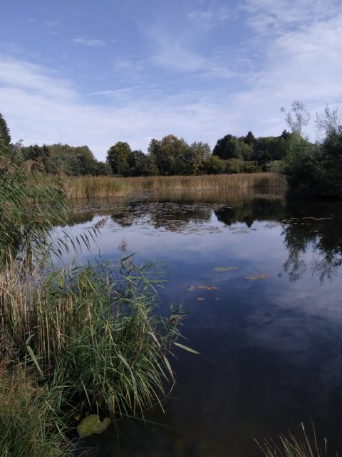 Etang de Mouille Marin_menthonnex en bornes