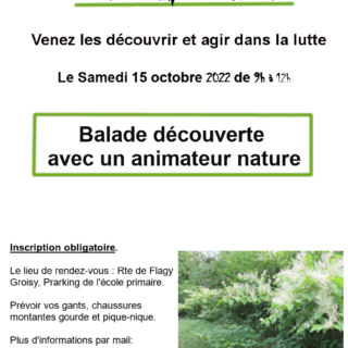 Affiche Découverte et Lutte invasives repport 15 octobre groisy