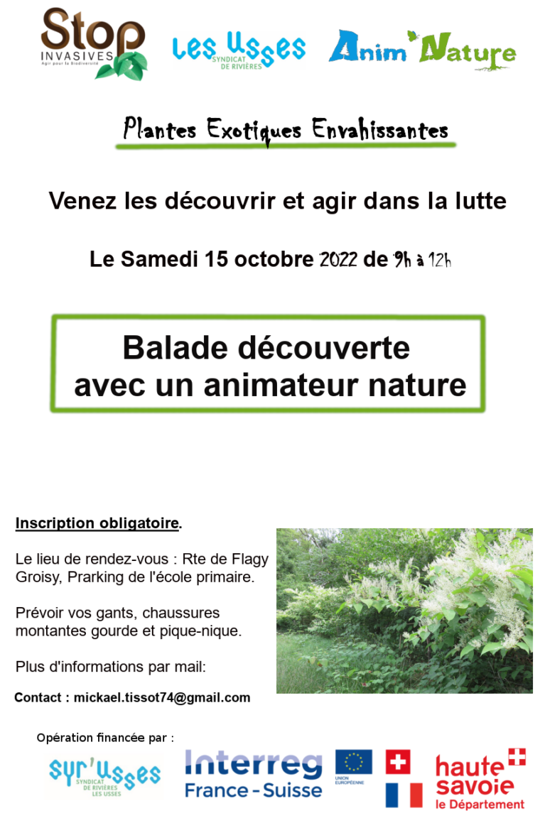 Affiche Découverte et Lutte invasives repport 15 octobre groisy