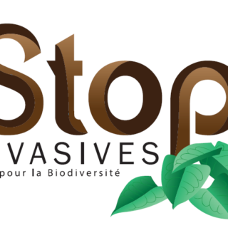 STOP