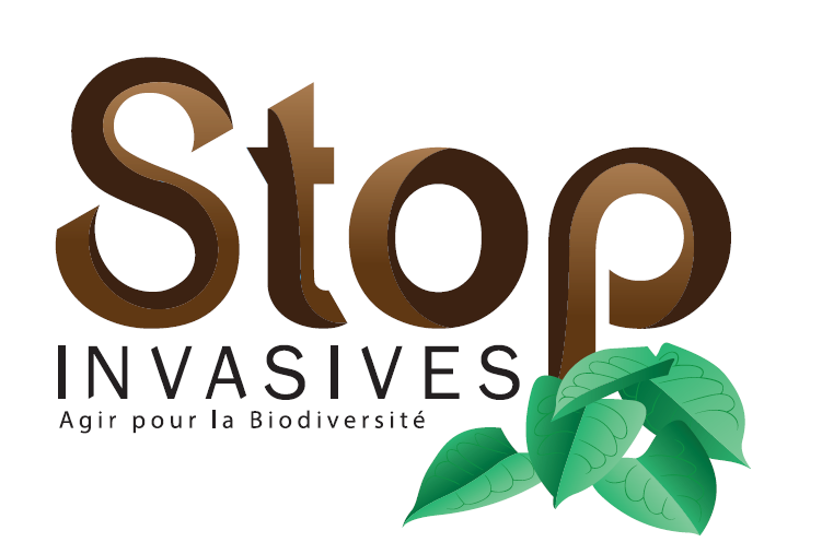 STOP
