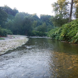 US07 (1)