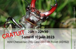 2023-06-10_Affiche-Syr’Usses-Lucane_page-0001