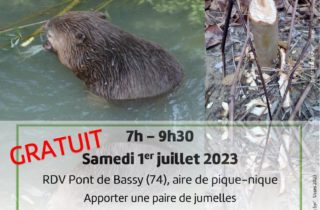 2023-07-01_Affiche-Syr’Usses-Castor_page-0001