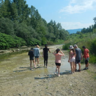 DSCN0790