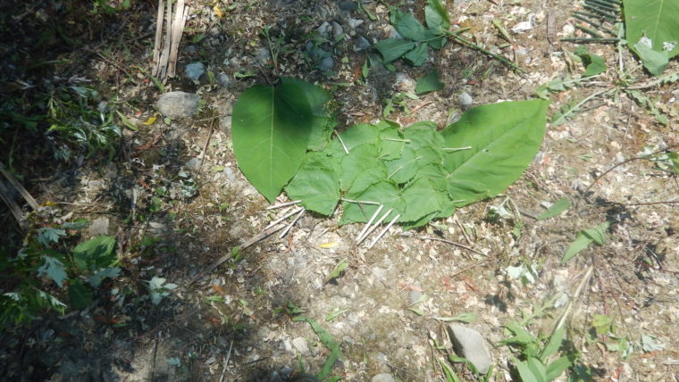 DSCN0795