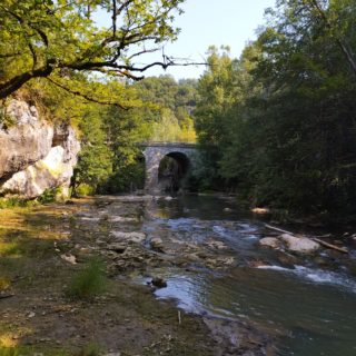 IMG_20230626_095151404