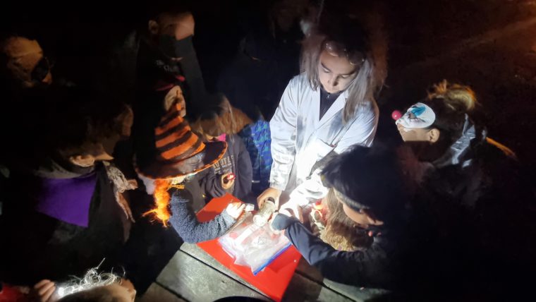Dr lulu présente le cours de science flouté