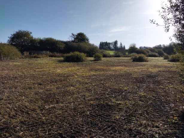 IMG_20231010_100938006