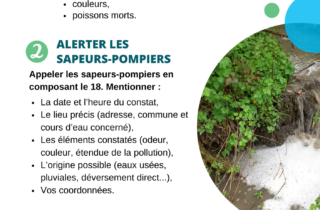 Affiche pollution