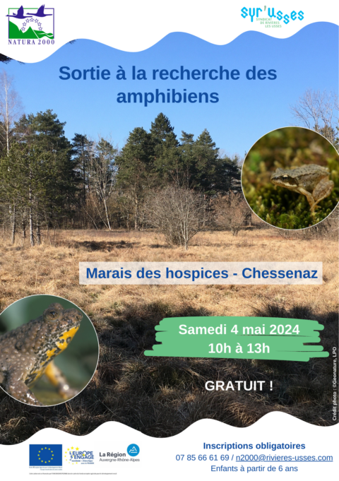 2024-05-04_Affiche_Animation amphibiens