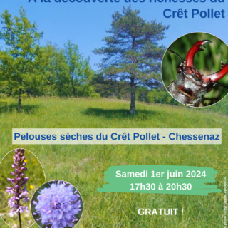 2024-06-01_Affiche_Animation cret pollet