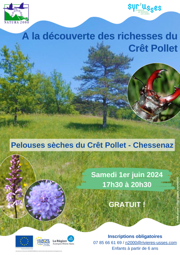2024-06-01_Affiche_Animation cret pollet