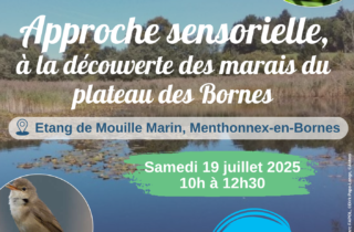 2025-07-19 Marais du plateau des Bornes
