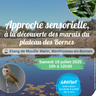 2025-07-19 Marais du plateau des Bornes