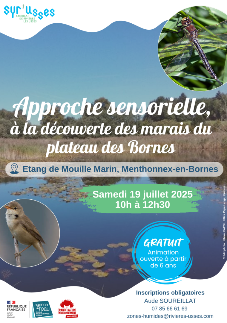 2025-07-19 Marais du plateau des Bornes