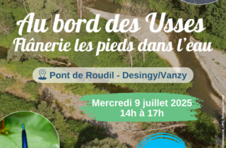 Affiches animations grands publics 2025 (1)