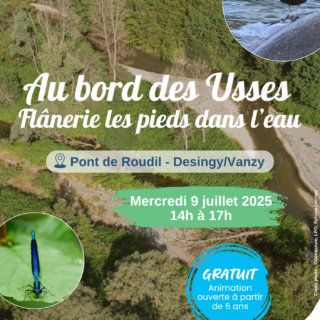Affiches animations grands publics 2025 (1)
