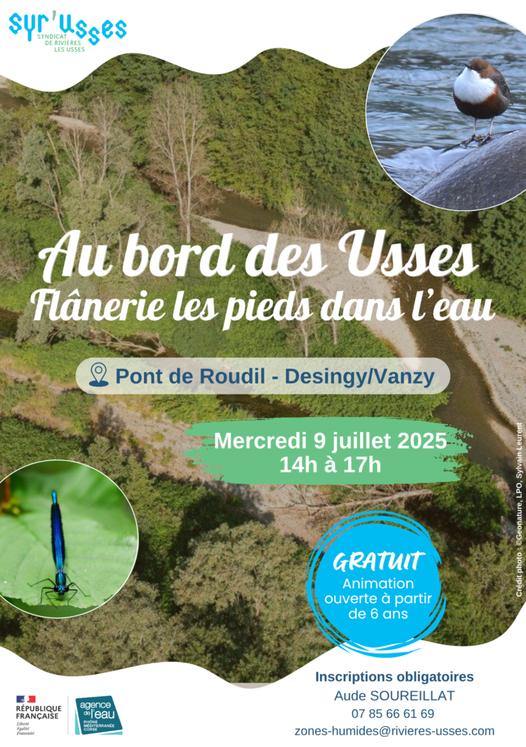 Affiches animations grands publics 2025 (1)