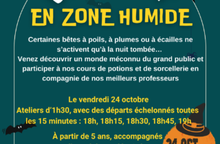 2025-10-24_Affiche Halloween