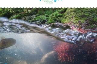 Papyr’Usses 13 1ère page de couverture