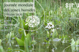 Capture d&rsquo;écran 2026-01-29 095114