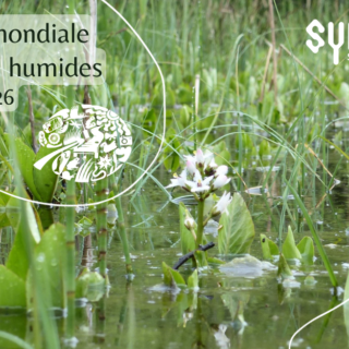 Capture d&rsquo;écran 2026-01-29 095114