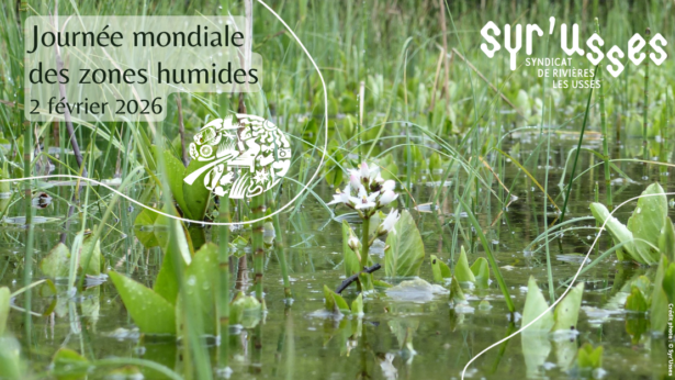 Capture d&rsquo;écran 2026-01-29 095114