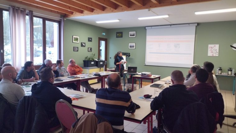 IMG_20260113_085809822 (FILEminimizer)