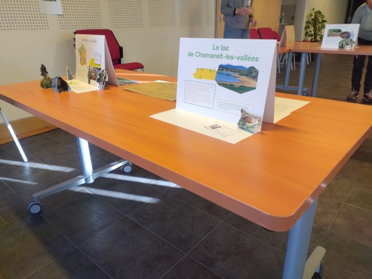 IMG_20260119_103332753