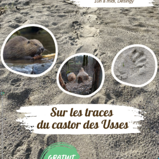 2026-03-21_Animation castor