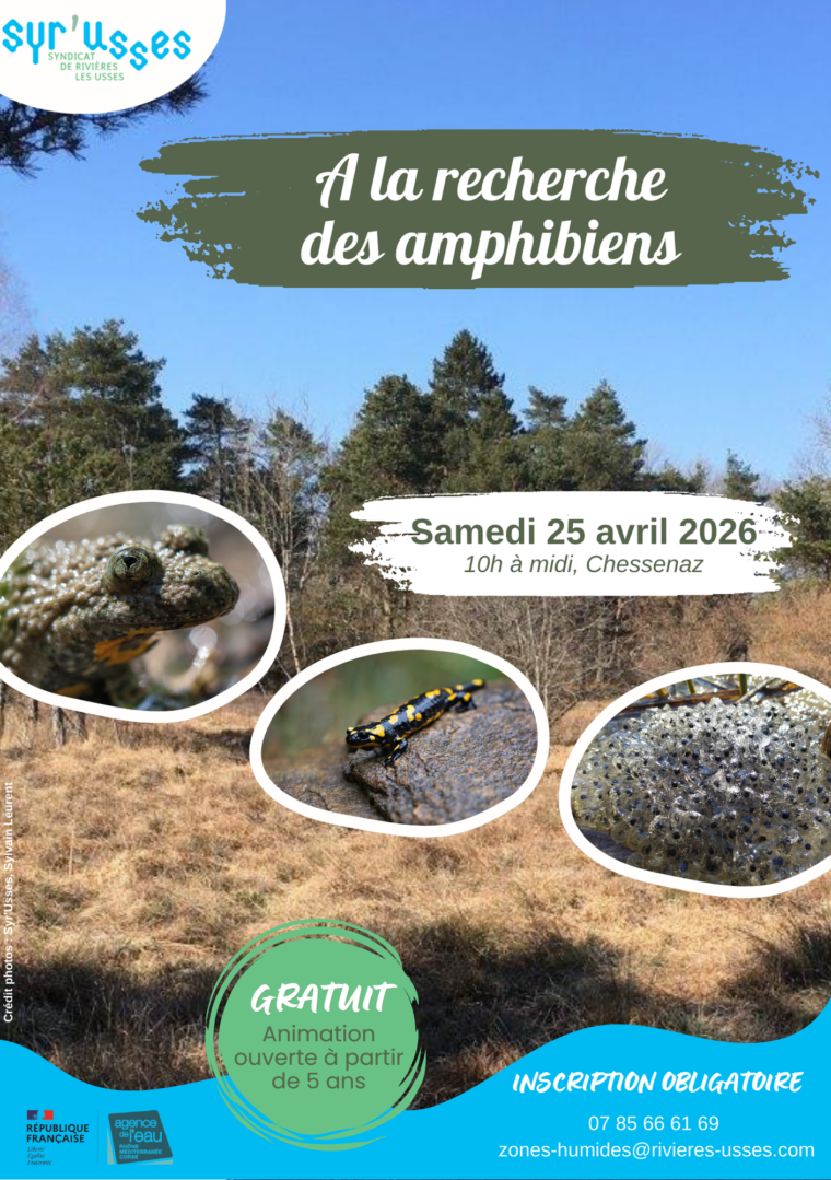 2026-04-25_Animation amphibiens