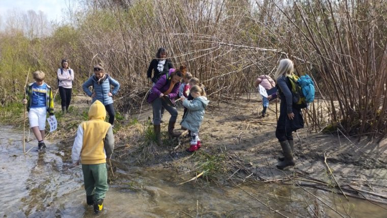 IMG_20260321_114141798 (FILEminimizer)