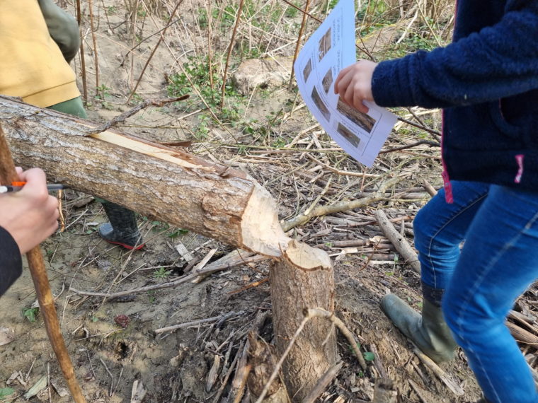 IMG_20260323_092535 (3)