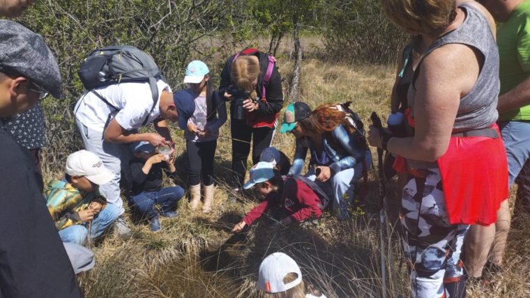 IMG_20260425_113956067 (FILEminimizer)