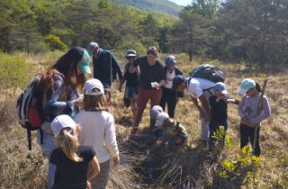 IMG_20260425_115406791 (FILEminimizer)