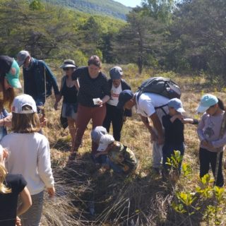 IMG_20260425_115406791 (FILEminimizer)